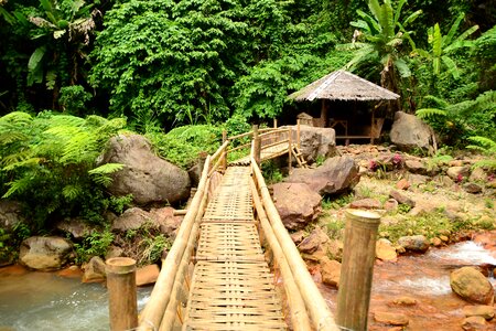 Bamboo crossing