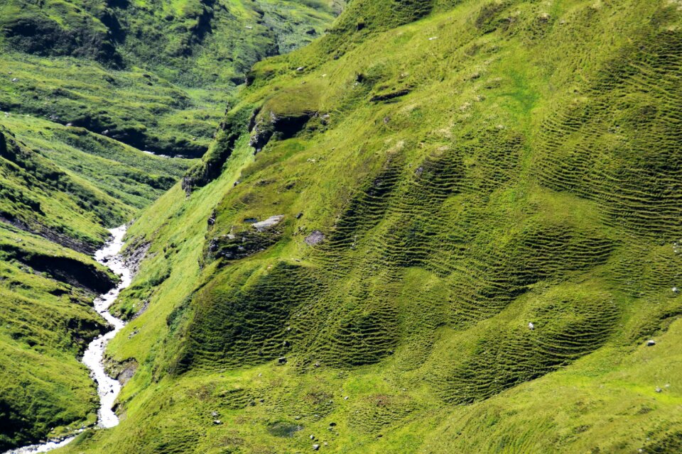 Green nature landscape