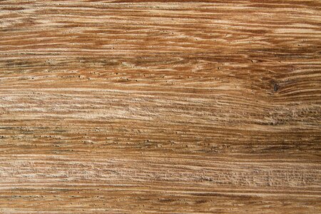 Brazilian wood grain wood texture photo