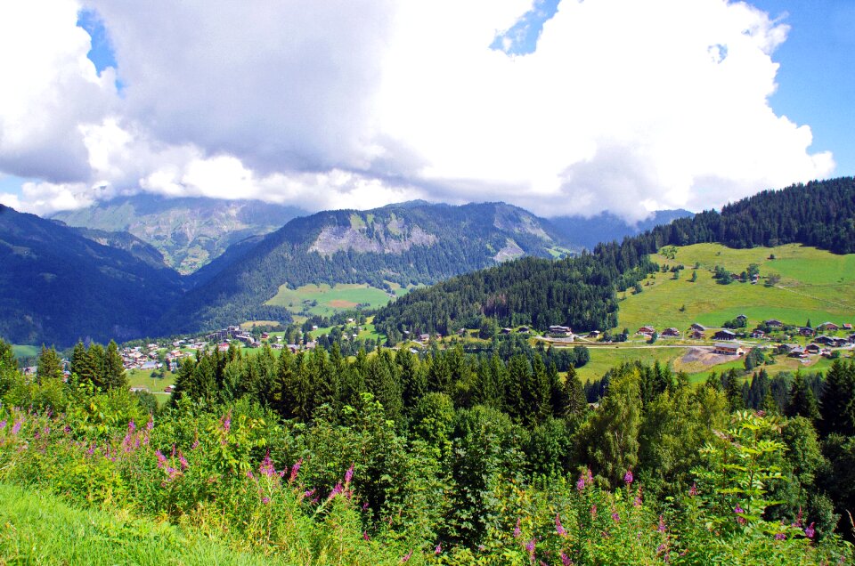 Meadow mountain landscape photo