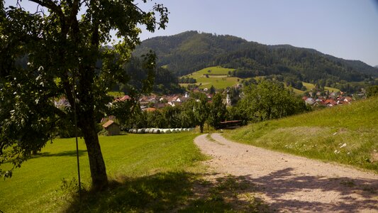 Trail black forest summer