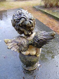 Drops cemetery dew