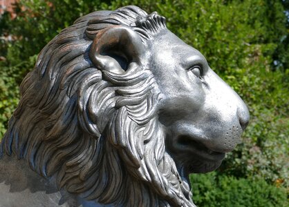 Library august lion