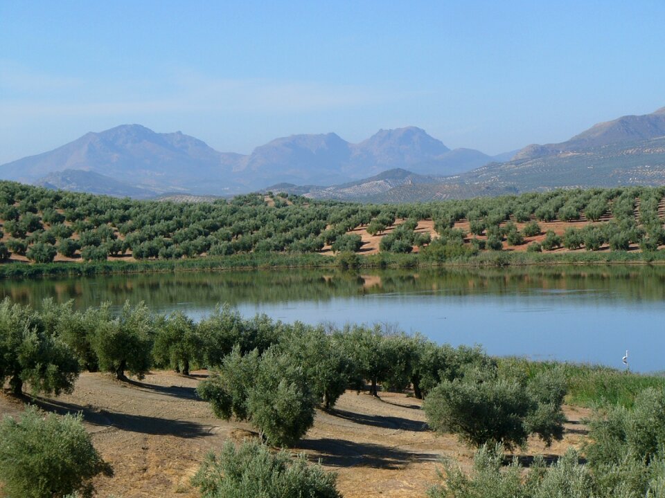 Mountains nature aove