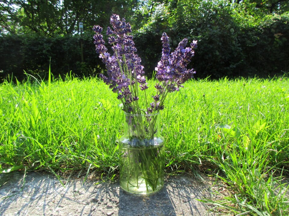 Lavender grass bouquet