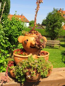 Pot potten succulents