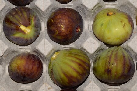 Eat sweet ripe
