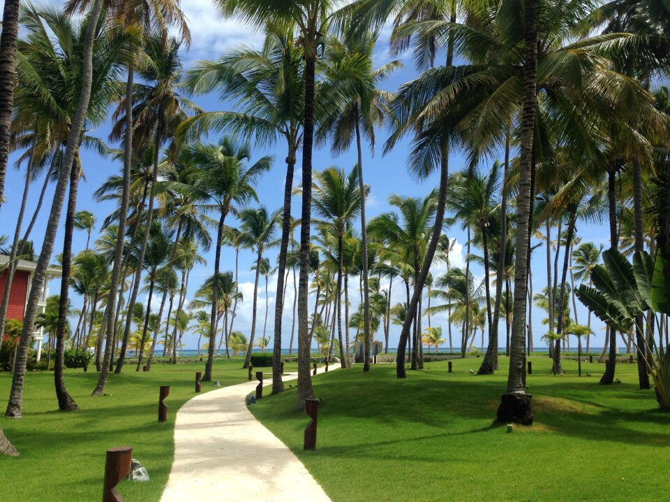 Vacations paradise hotel