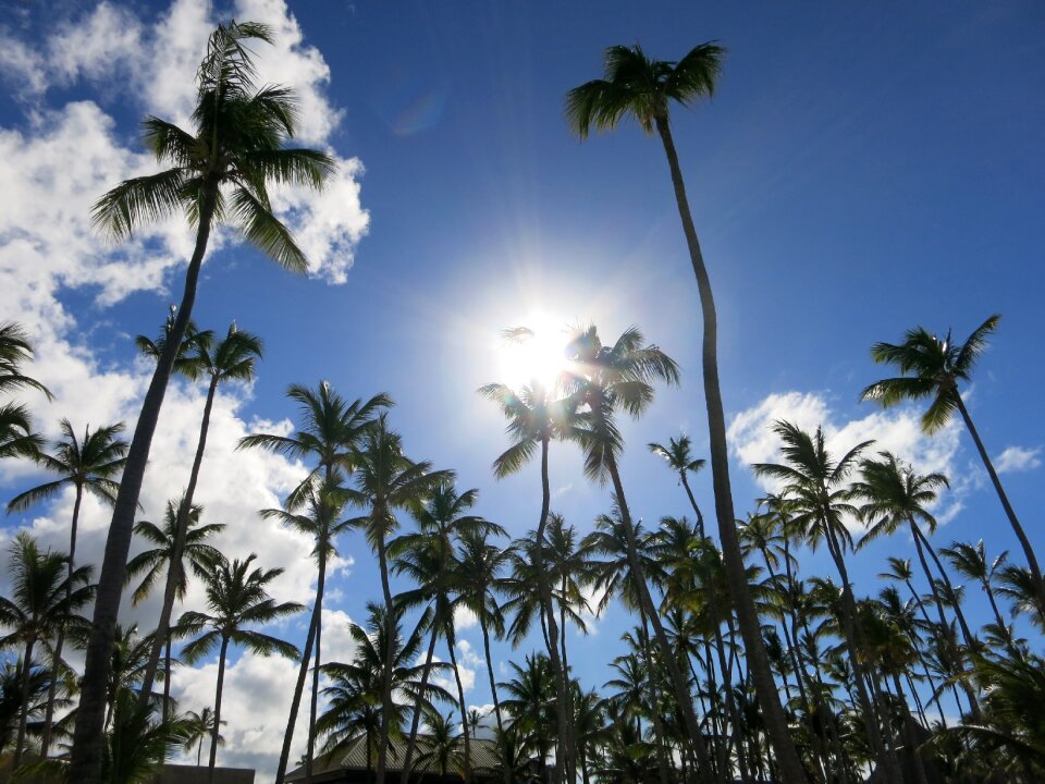 Dominican republic vacations paradise