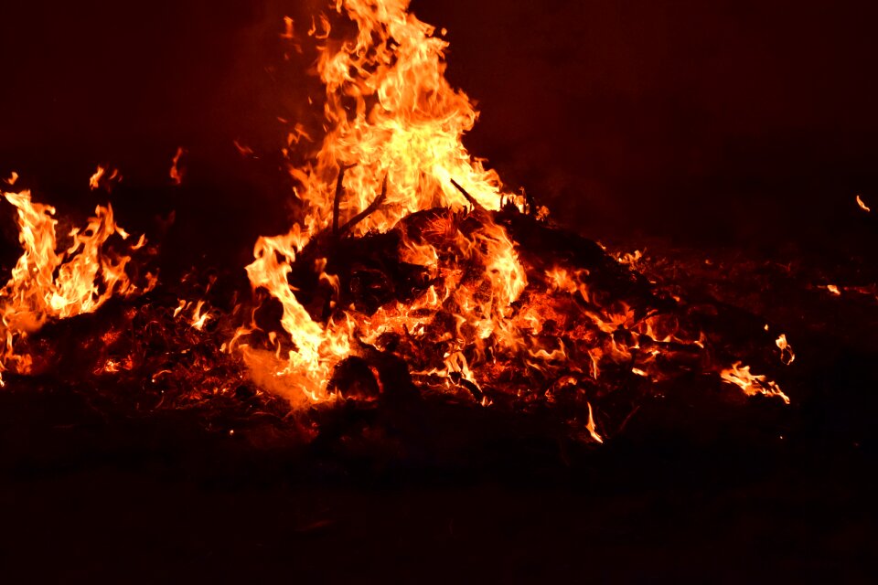 Wood fire campfire beautiful photo