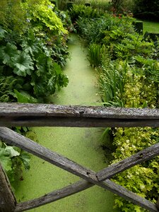 Scenic wooden boards nature