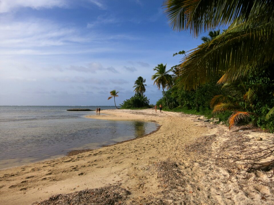 Dominican republic sea vacations