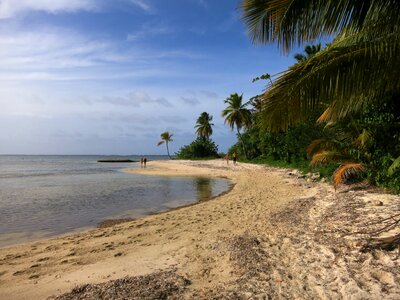 Dominican republic sea vacations photo