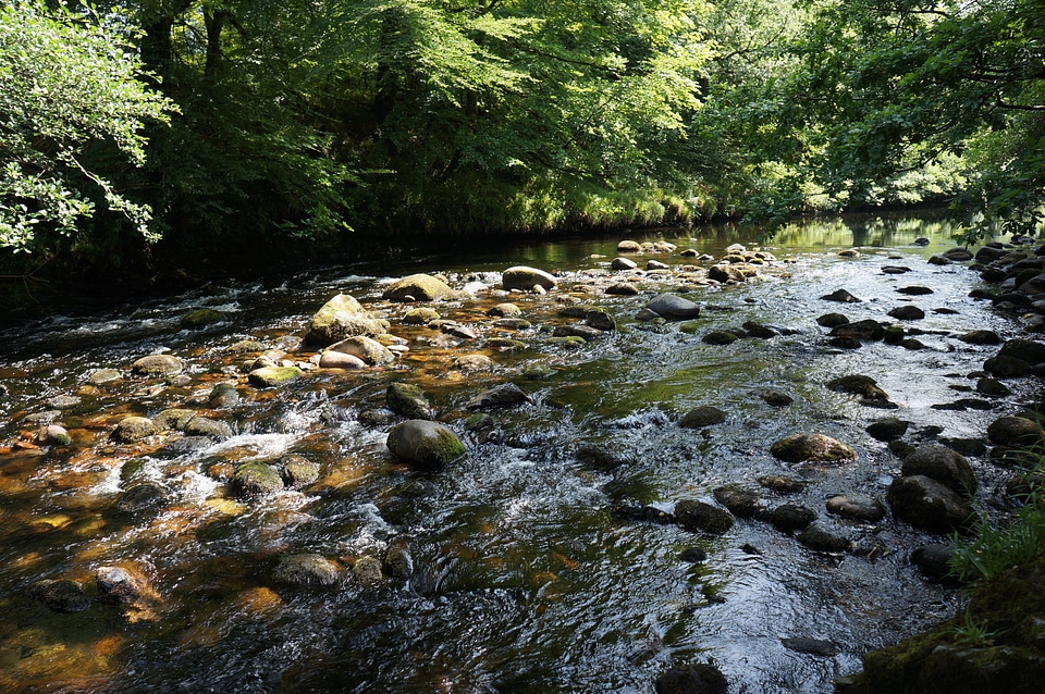 River stream landscape