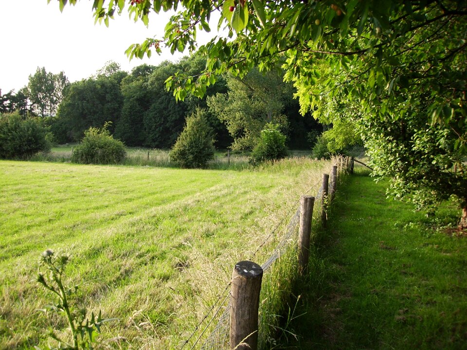 Farm field about