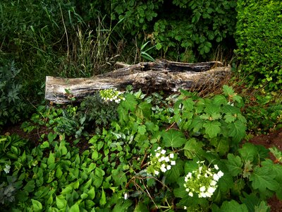 Nature green fouling