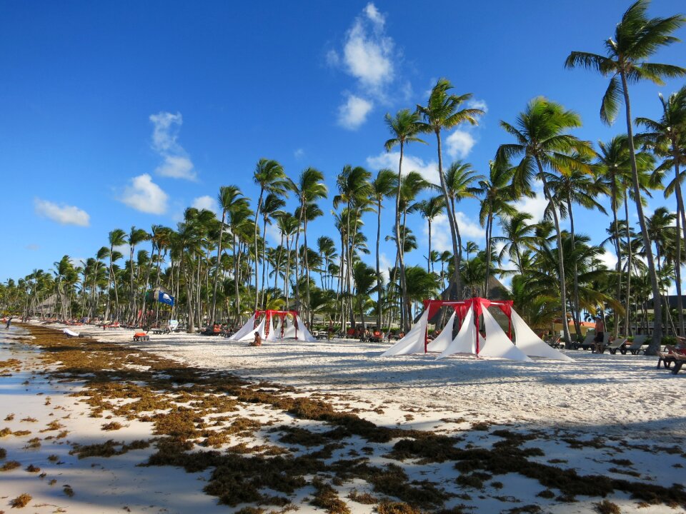 Dominican republic sea vacations