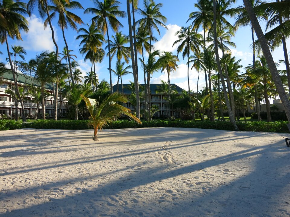 Dominican republic vacations paradise