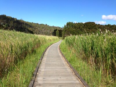 Timber track