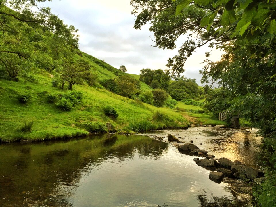 Green water landscape