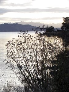 Sea lake quiet