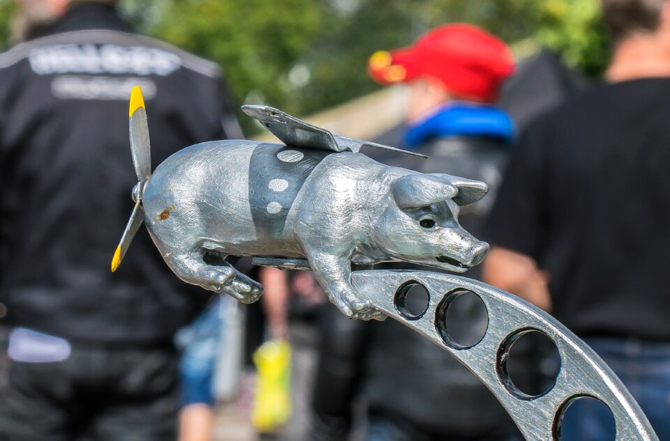 The pig mascot piggy