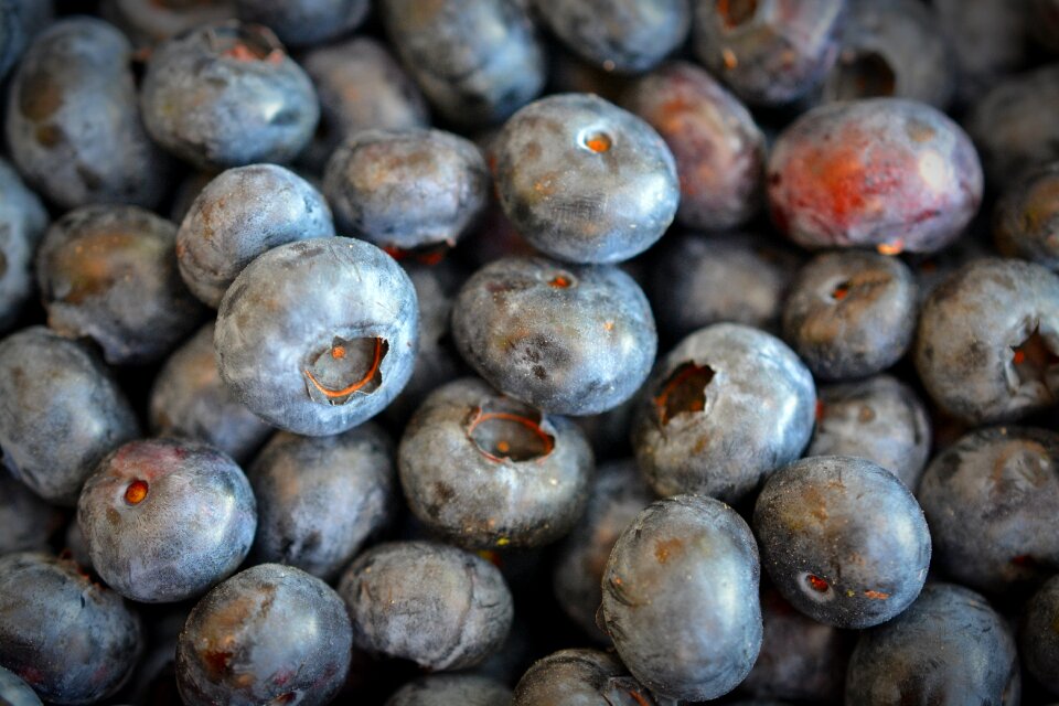 Fruits summer blue