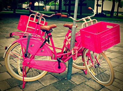 Transport cargo bike cycling