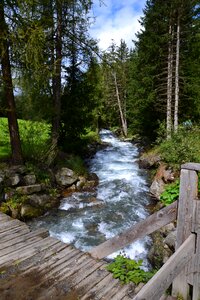 Nature landscape water bridge