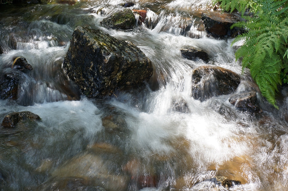 Floating river stream photo