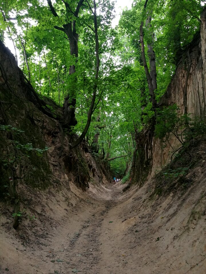 Summer trek poland nature