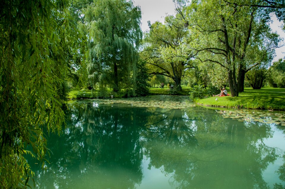Water reflection