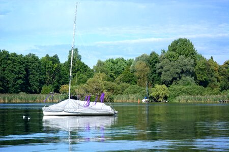 Boat pier trees photo