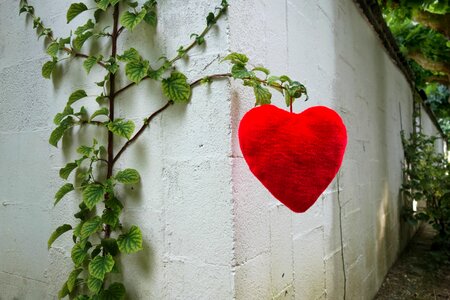 Valentine romance red