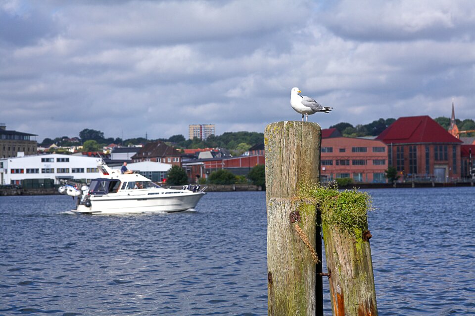 Port flensburg sunny