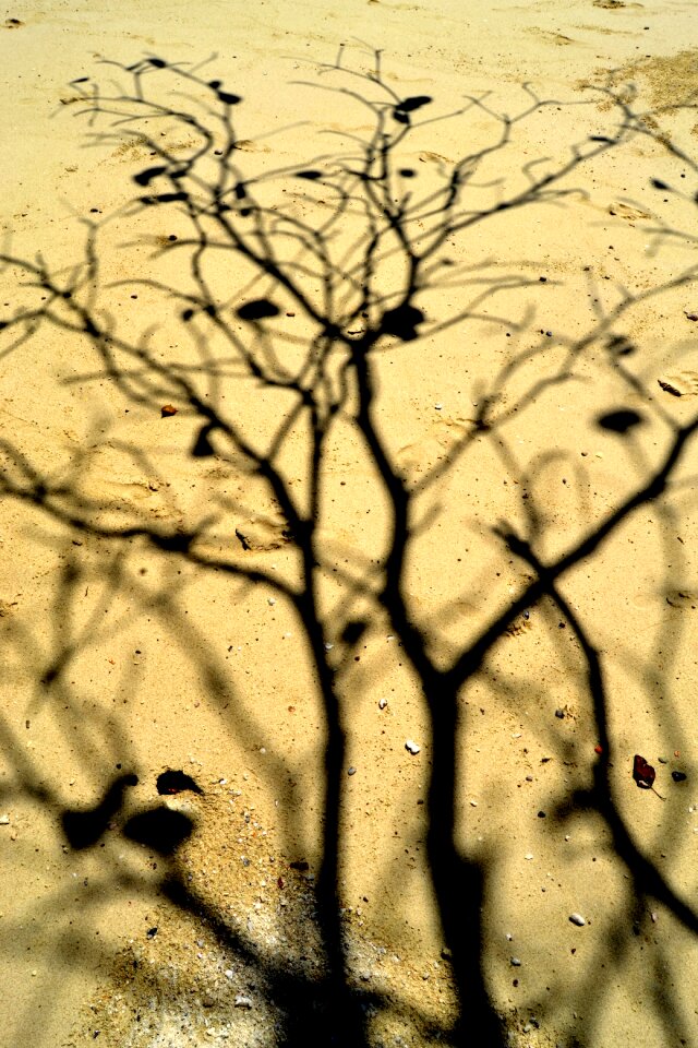 Shadow sand