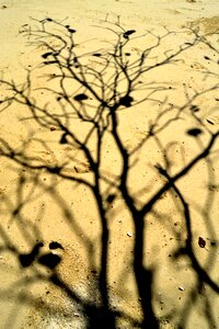 Shadow sand