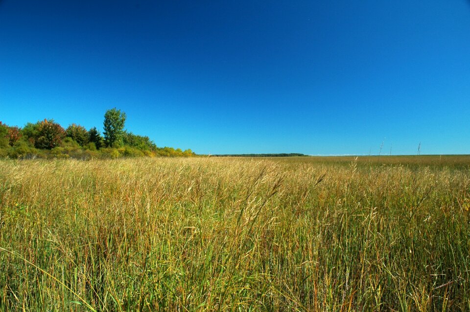 Sunny blue sky clouds