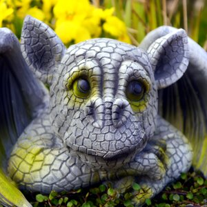 Dragon figure garden