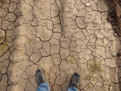 Infertility soil agriculture