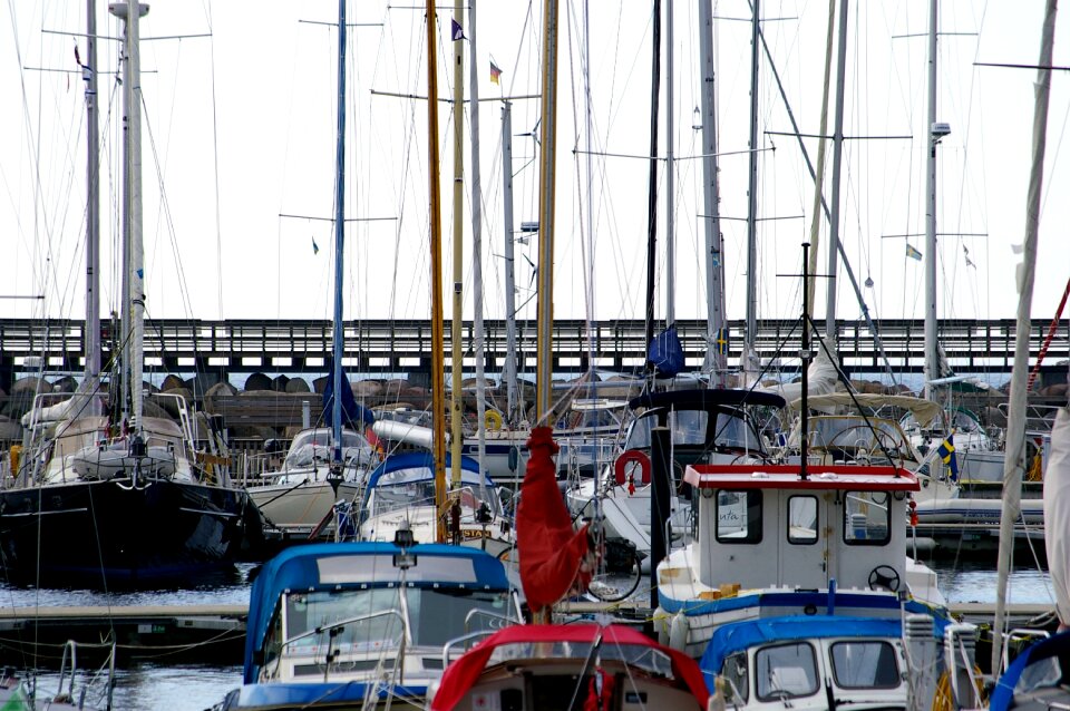 Swarm straight sailboat