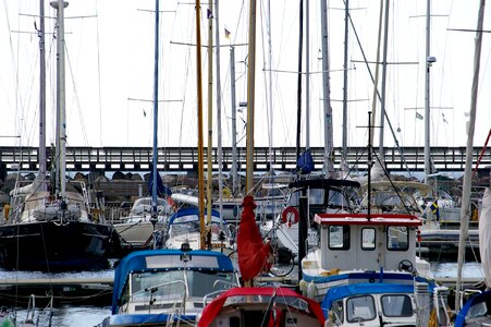 Swarm straight sailboat