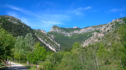 Alps countryside nature photo