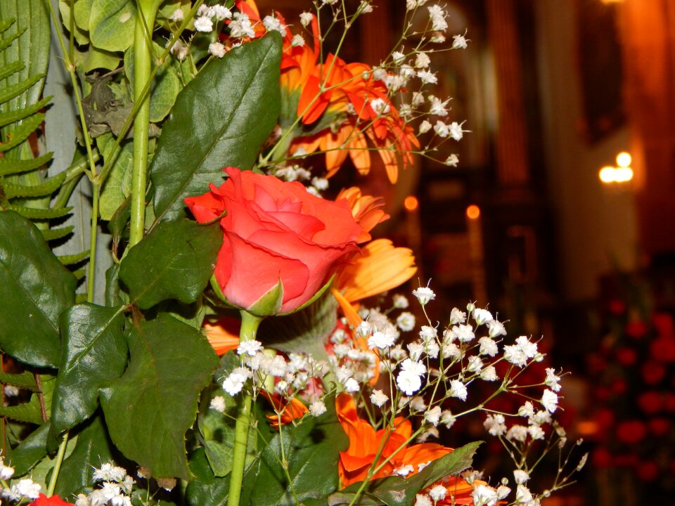 Flowers herbs bouquet