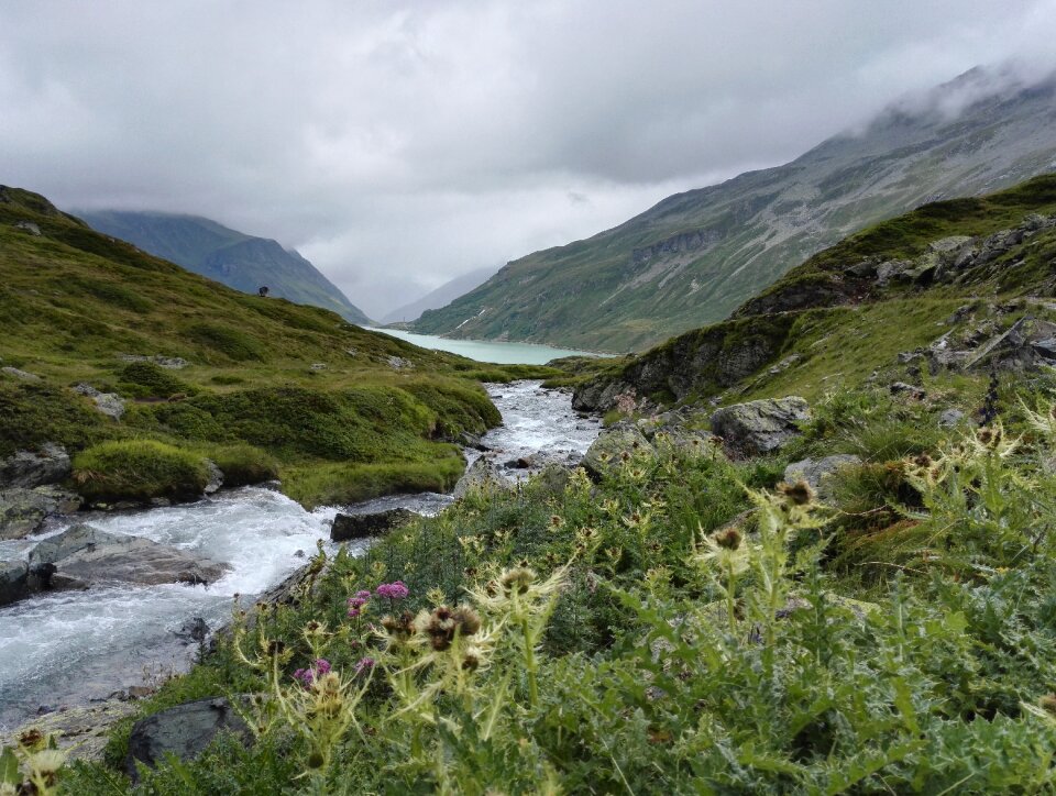 Landscape nature montafon