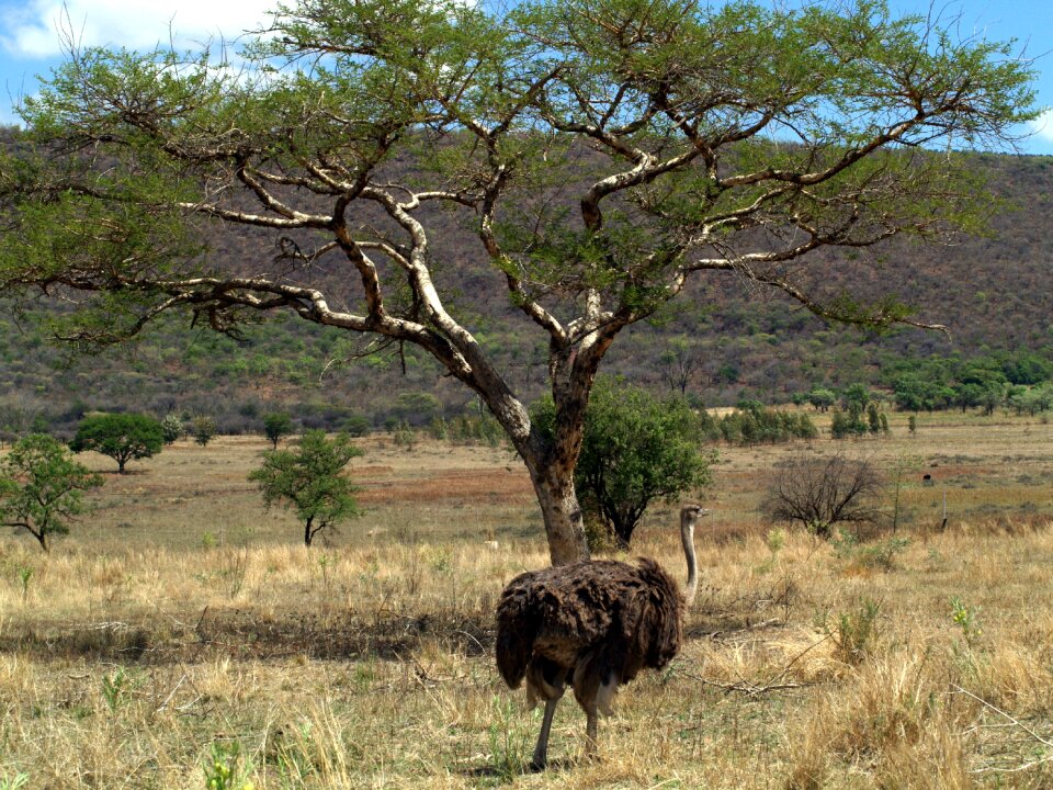 Mpumalanga south africa