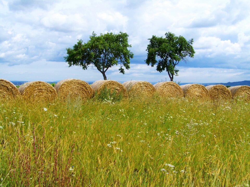 Straw bales rural landscape field