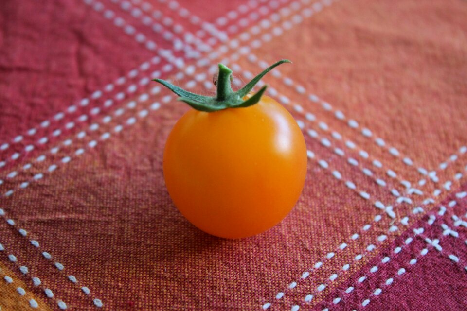 Tomato red orange