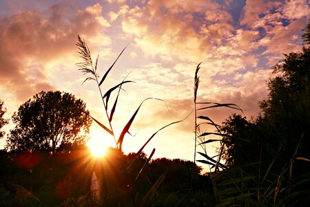 Evening sky silhouette sun ray photo