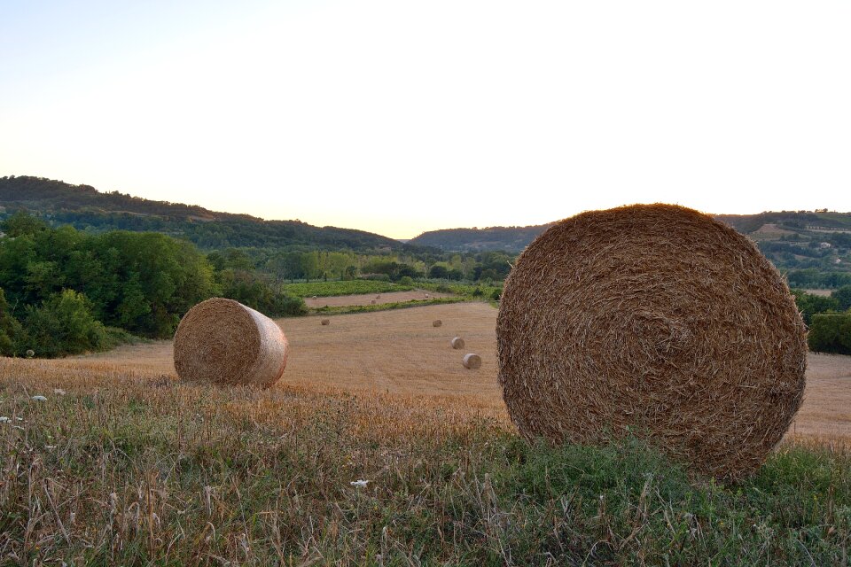 Round fields hills